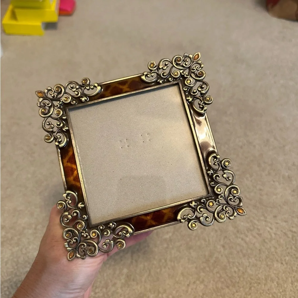 COPY - ADORABLE leopard & metal frames!!